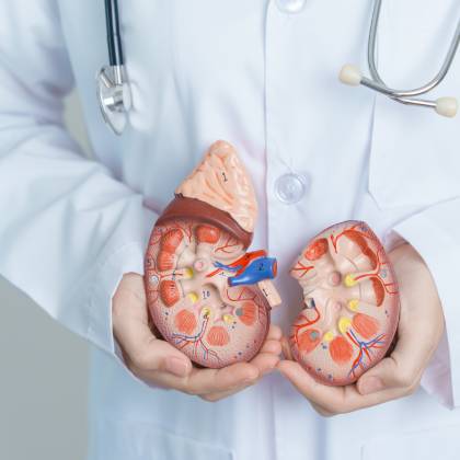 buscar un nefrologo en naucalpan