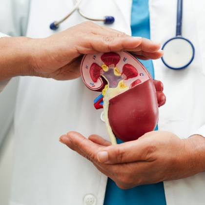 clinica privada de nefrologia en cdmx