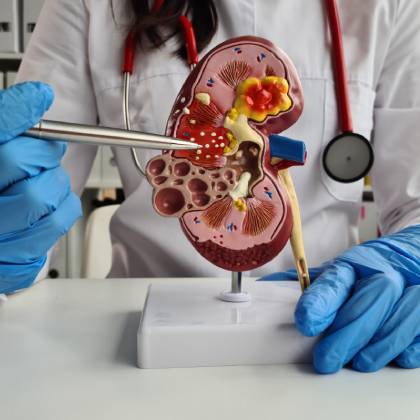 experiencia nefrologia en ciudad satelite