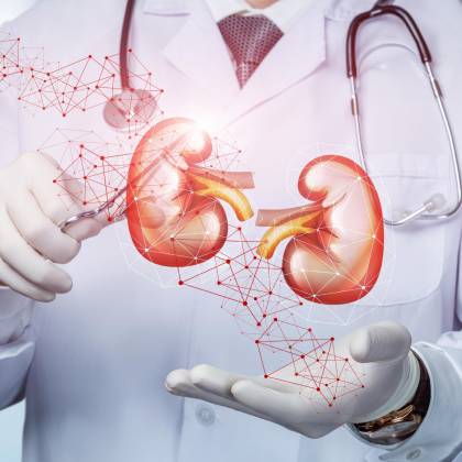 nefrologo en hospital angeles mexico cmdx