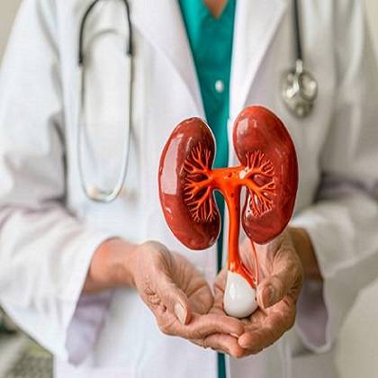 numeros de nefrologos en cdmx