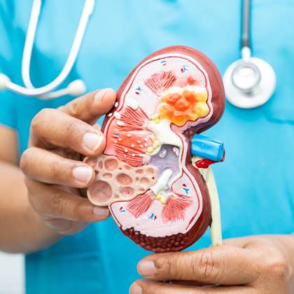 numeros de nefrologos en ciudad satelite