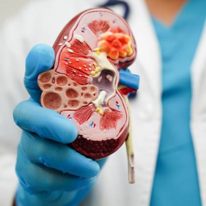 terapia en nefrologia en ciudad satelite